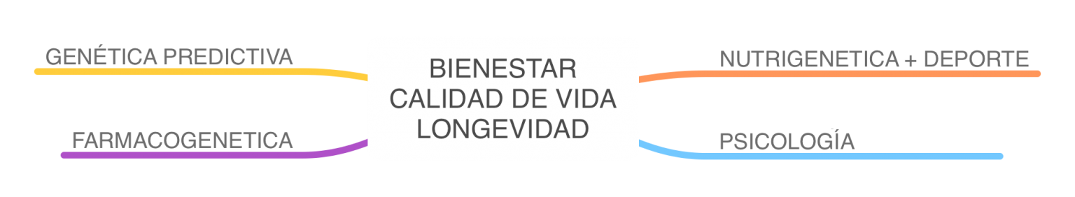 bienestar-calidad-de-vida